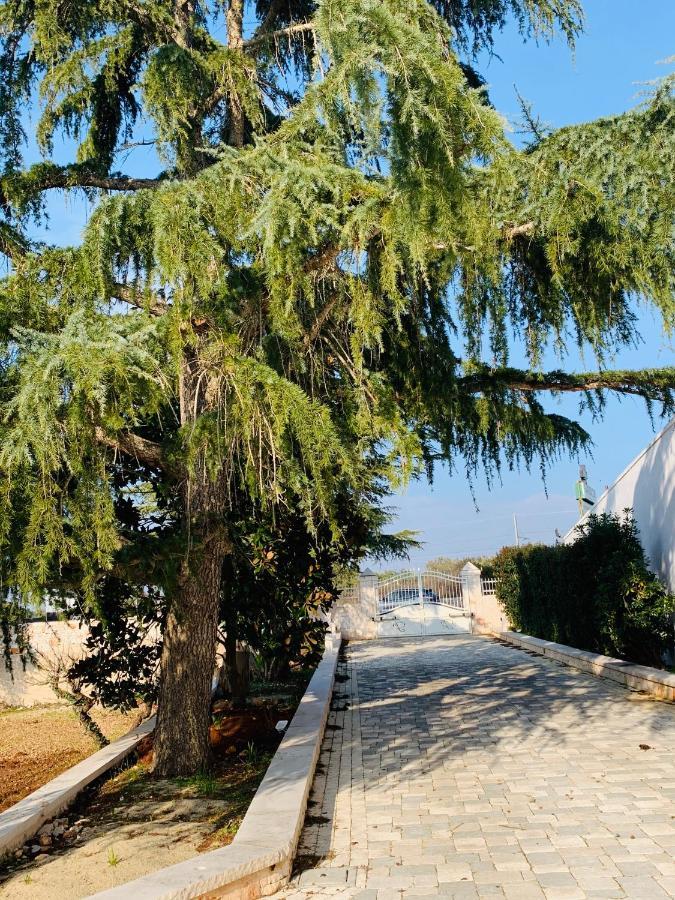 Trullo Labellavita Putignano Buitenkant foto